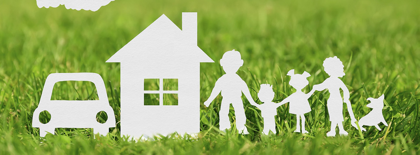 Short Term Insurance